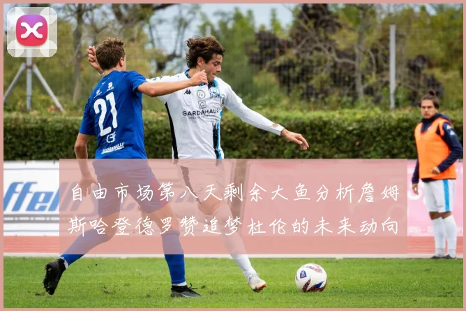 自由市场第八天剩余大鱼分析詹姆斯哈登德罗赞追梦杜伦的未来动向