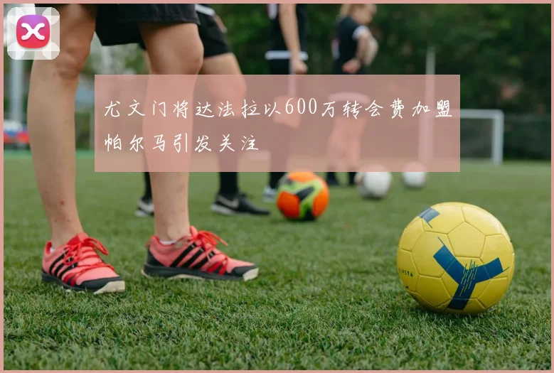 尤文门将达法拉以600万转会费加盟帕尔马引发关注