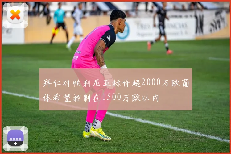 拜仁对帕利尼亚标价超2000万欧葡体希望控制在1500万欧以内
